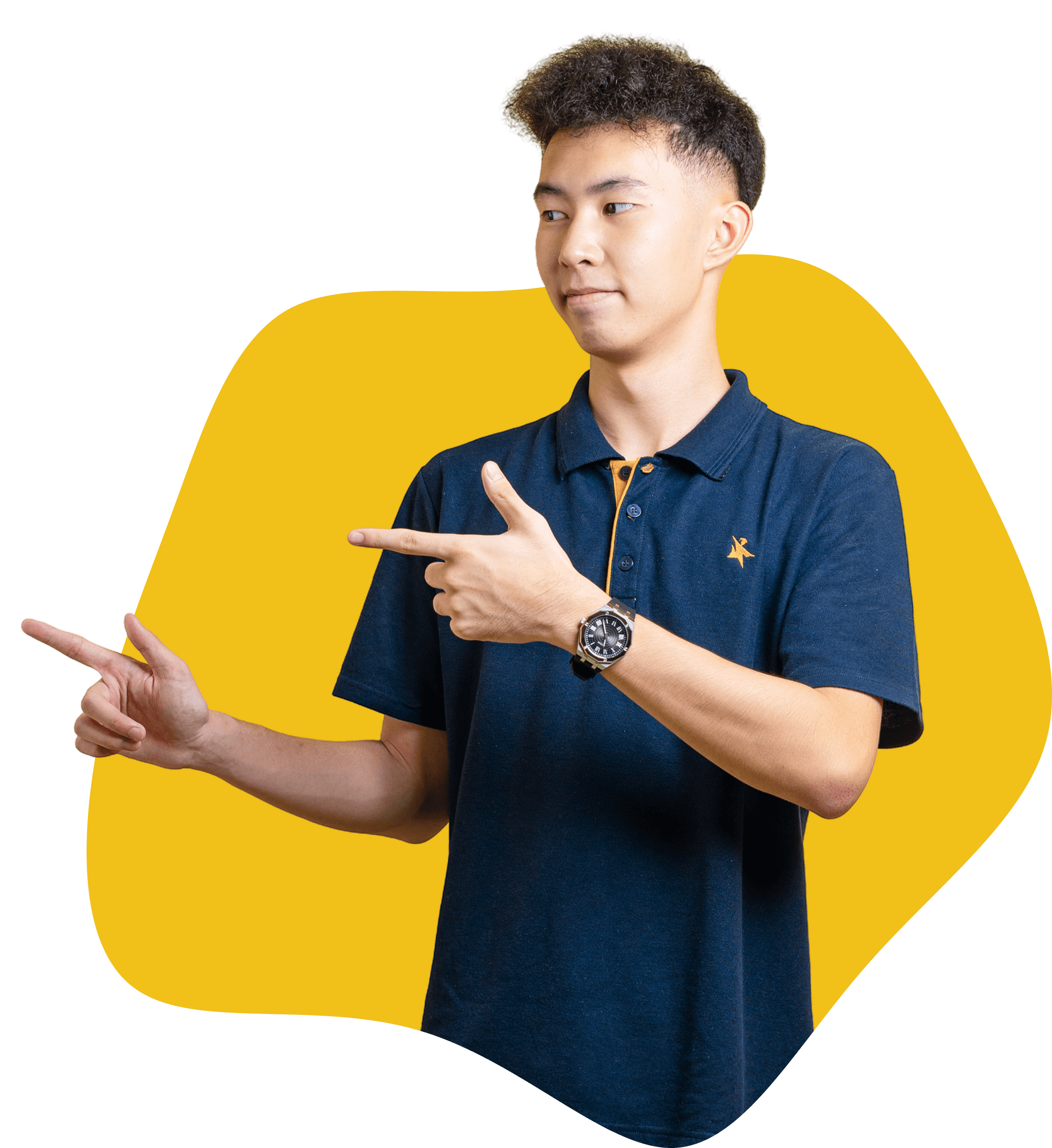 University Tutor